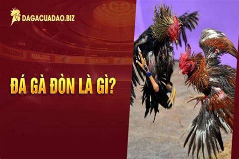 Tổng Hợp Video Gà Đòn Hấp Dẫn Kịch Tính Nhất .